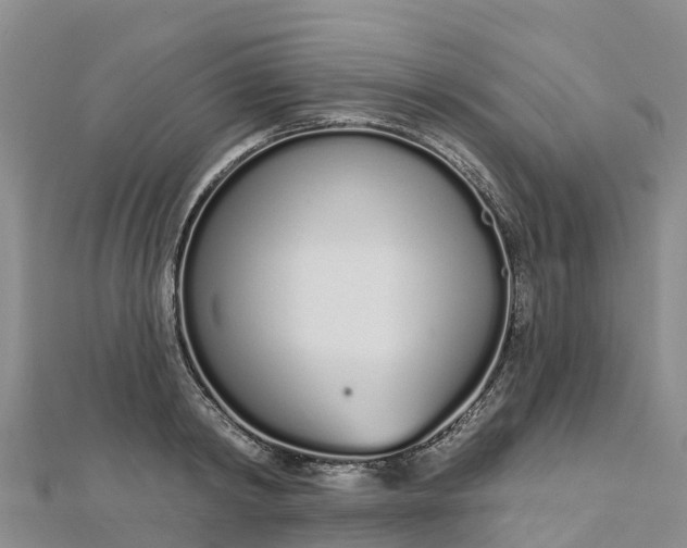 X0000112720798200909031416