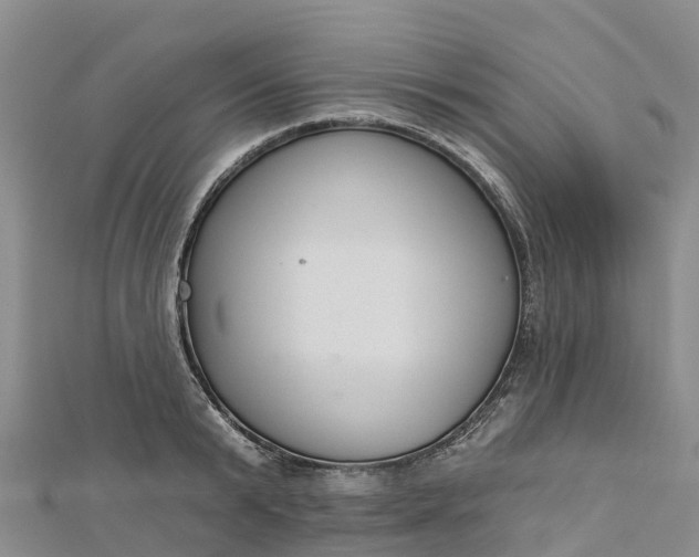 X0000112720799200909031416