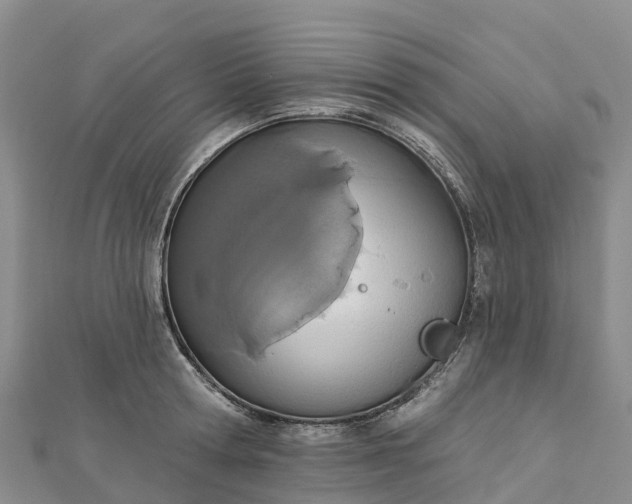 X0000112720802200909031416