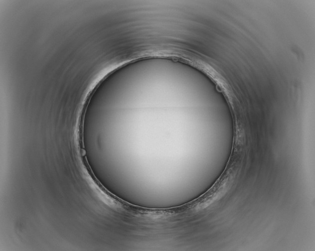 X0000112720803200909031416