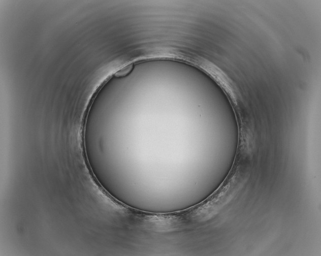 X0000112720805200909031416