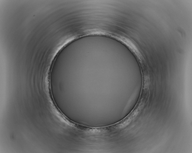 X0000112720806200909031416