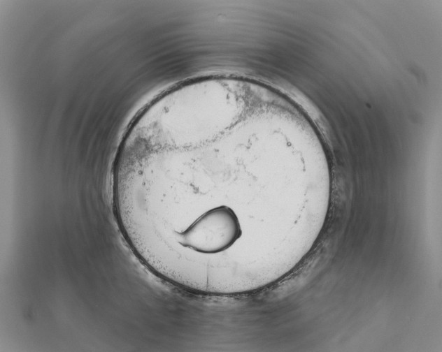 X0000112720807200909031416