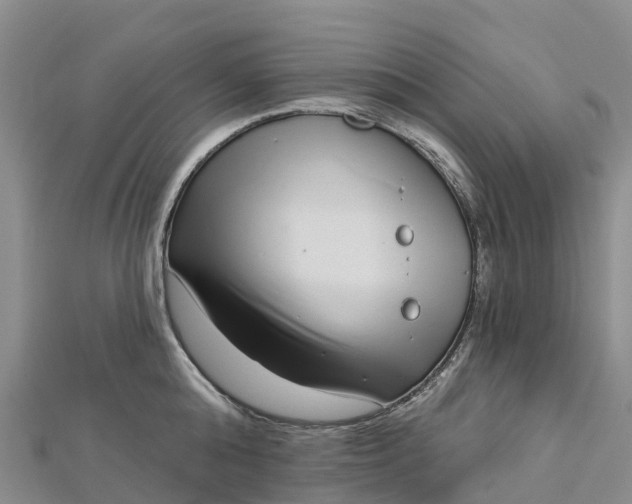 X0000112720808200909031416