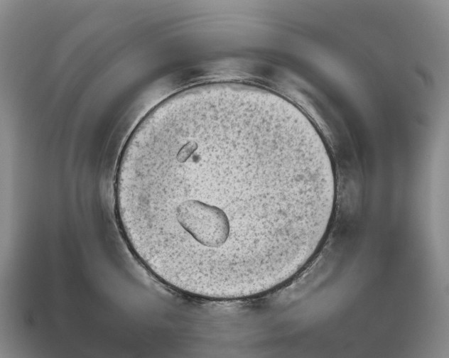 X0000112720810200909031416