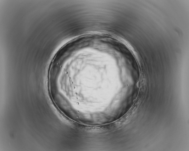 X0000112720811200909031416