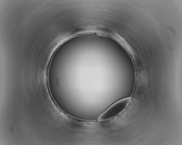 X0000112720813200909031416