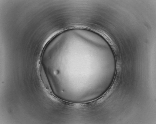 X0000112720814200909031416