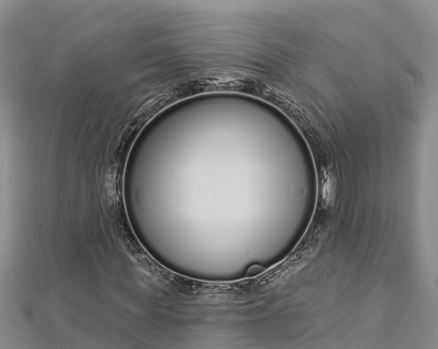 X0000112720819200909031415