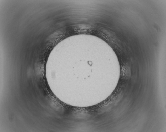 X0000112720820200909031415