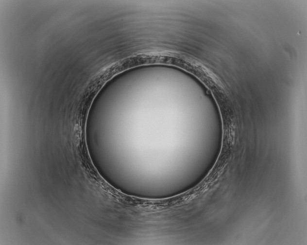 X0000112720821200909031415