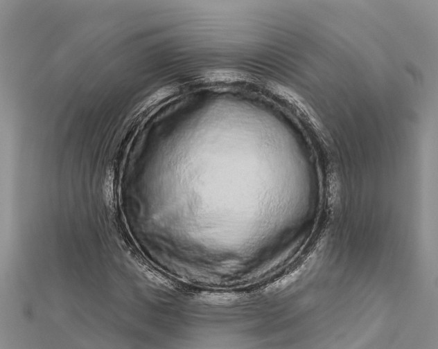 X0000112720825200909031415