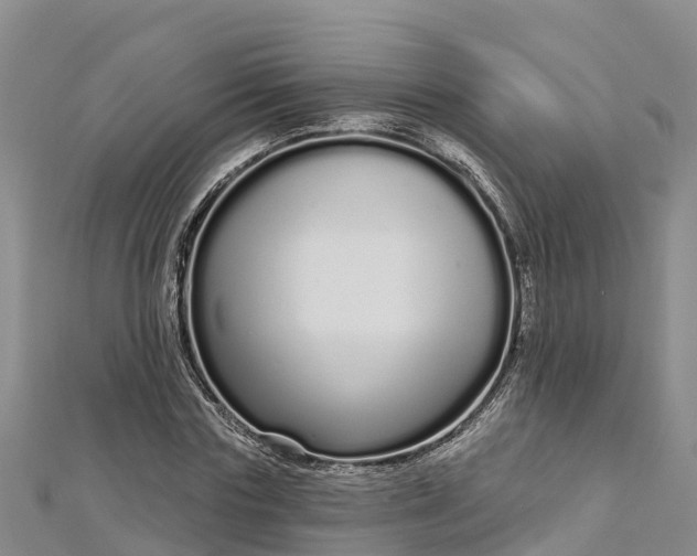 X0000112720827200909031415