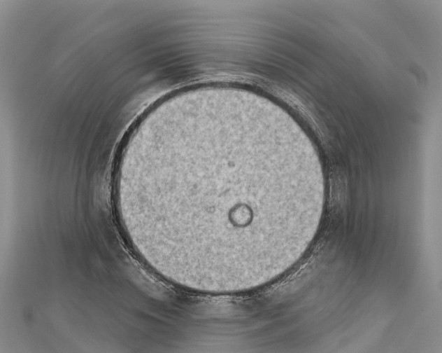 X0000112720828200909031415