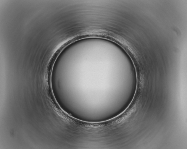 X0000112720830200909031415