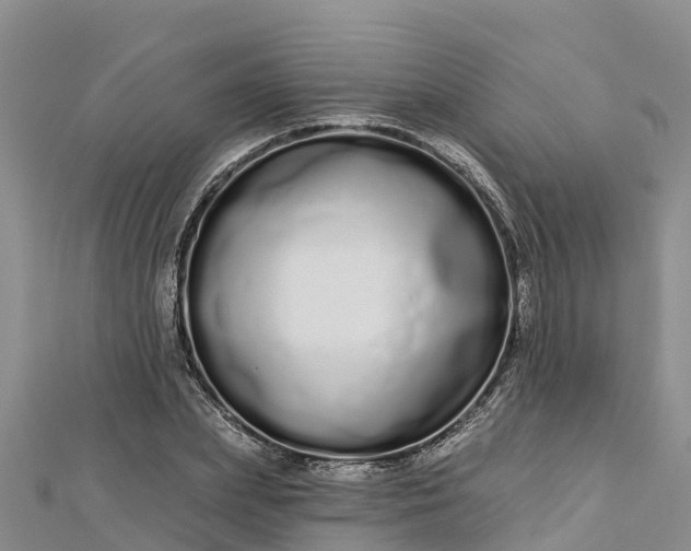 X0000112720831200909031415