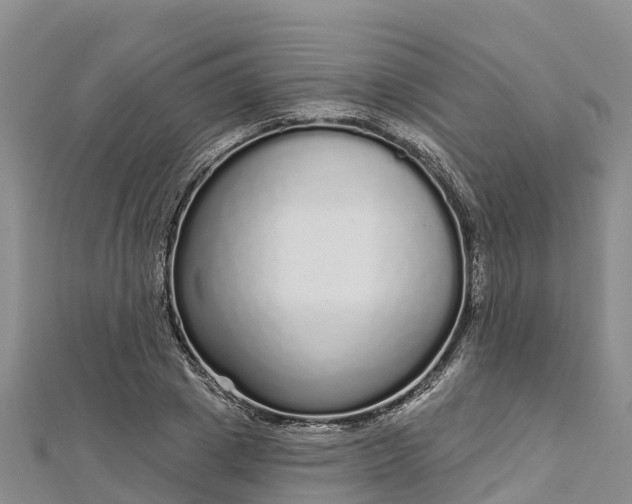 X0000112720833200909031415