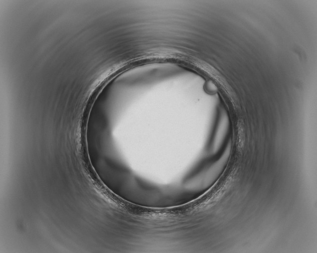 X0000112720834200909031415