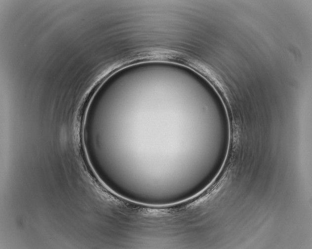 X0000112720835200909031415