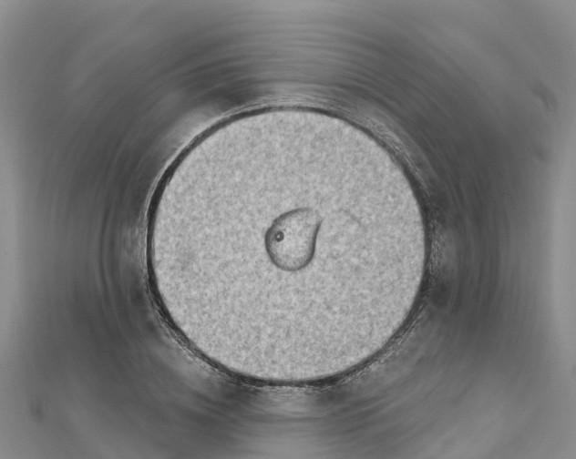 X0000112720836200909031415