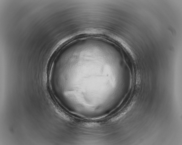 X0000112720837200909031415