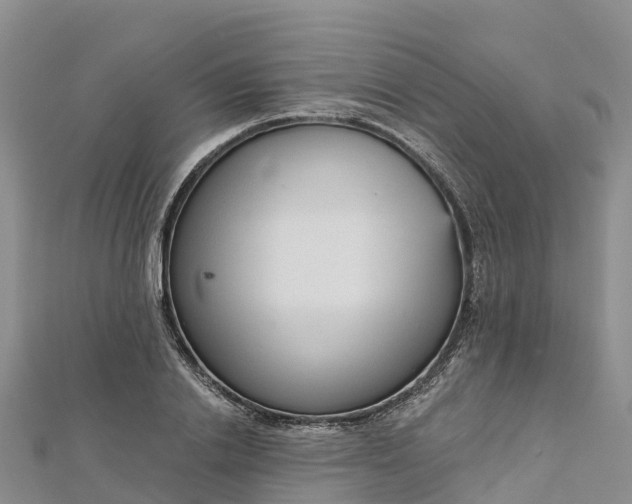 X0000112720838200909031415