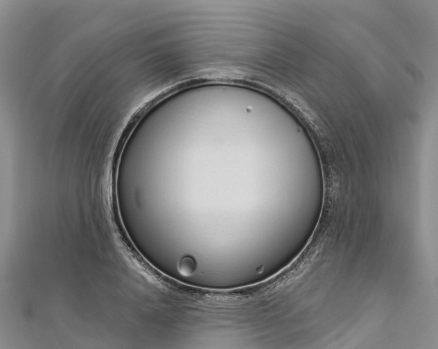 X0000112720840200909031415