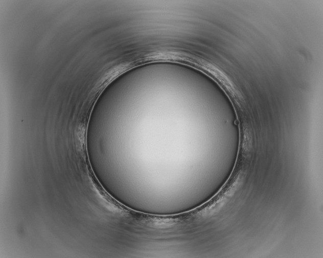 X0000112720849200909031415