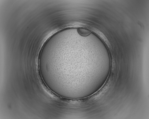 X0000112720850200909031415