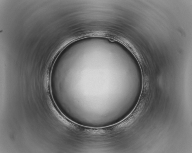 X0000112720851200909031415