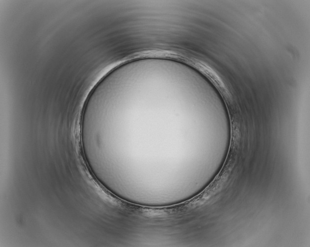 X0000112720852200909031415