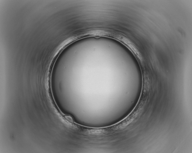 X0000112720853200909031415