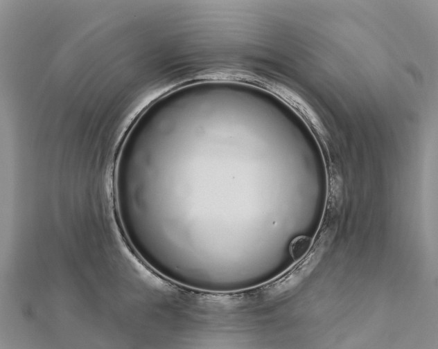 X0000112720855200909031415