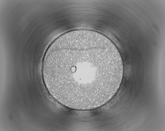 X0000112720856200909031415