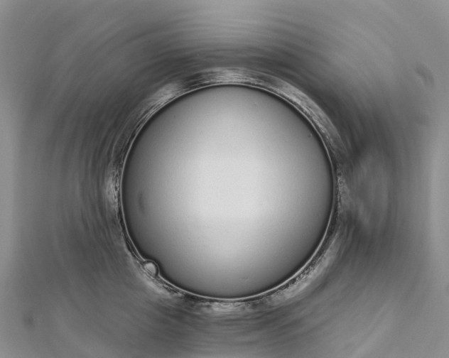 X0000112720857200909031415