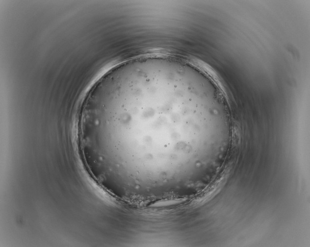 X0000112720859200909031415