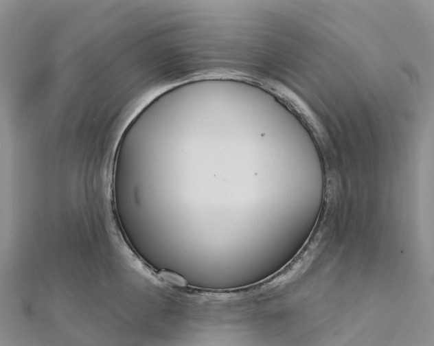 X0000112720860200909031415