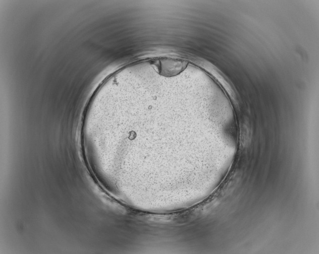 X0000112720861200909031415