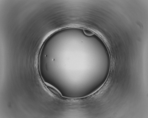 X0000112720862200909031415