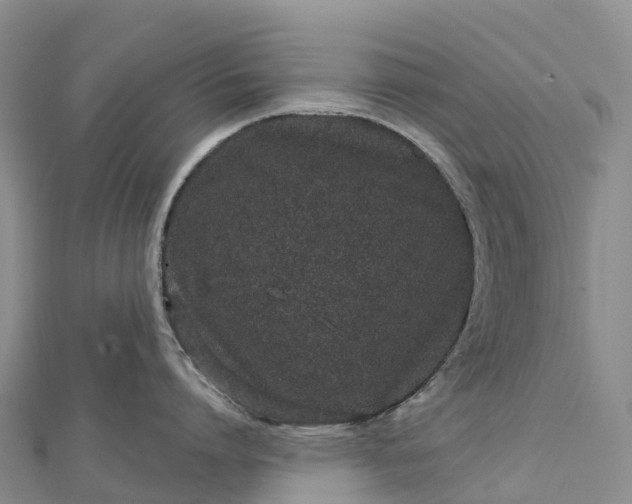 X0000112720864200909031415