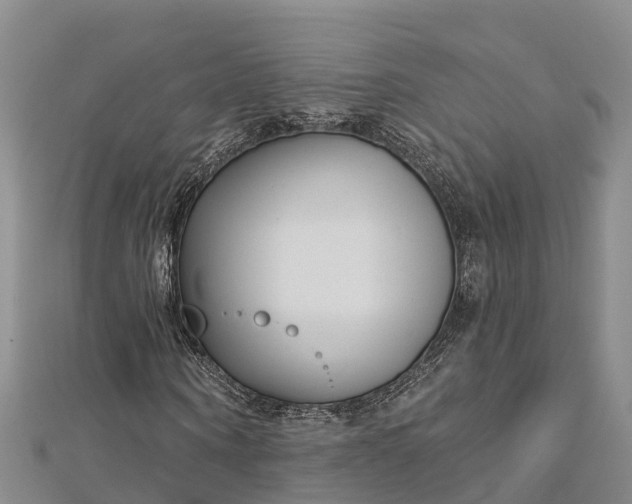 X0000112720866200909031415