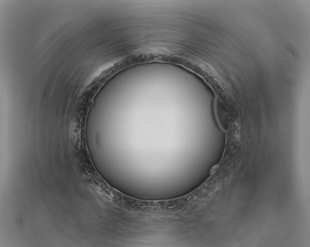 X0000112720872200909031415