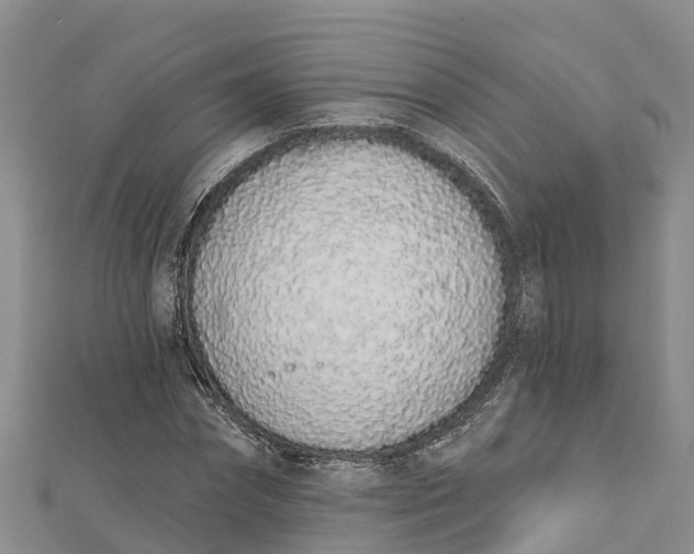 X0000112720874200909031415