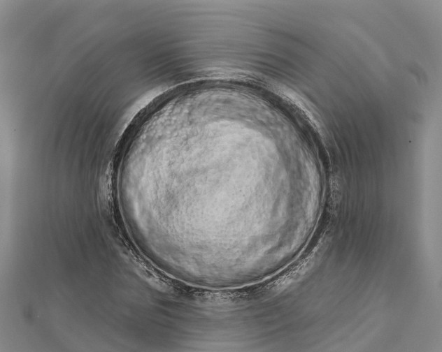 X0000112720875200909031415