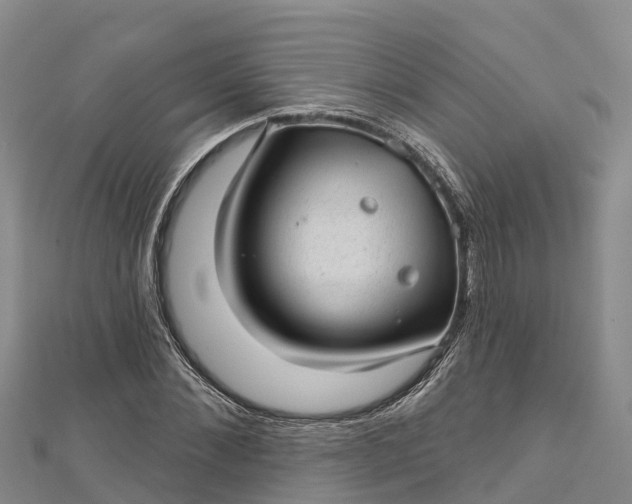 X0000112720876200909031415