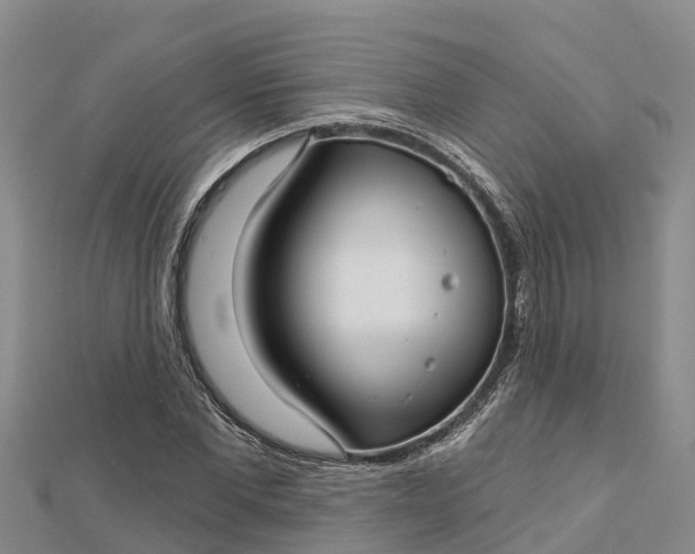 X0000112720877200909031415