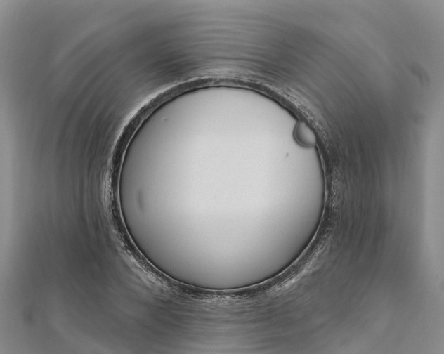 X0000112720880200909031415