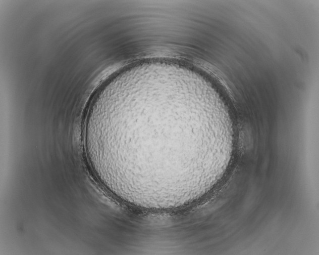 X0000112720882200909031415