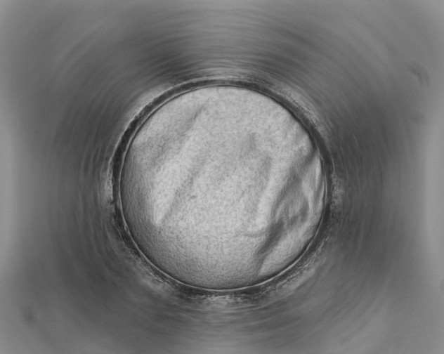 X0000112720883200909031415