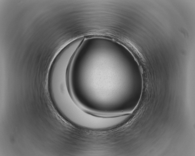 X0000112720884200909031415